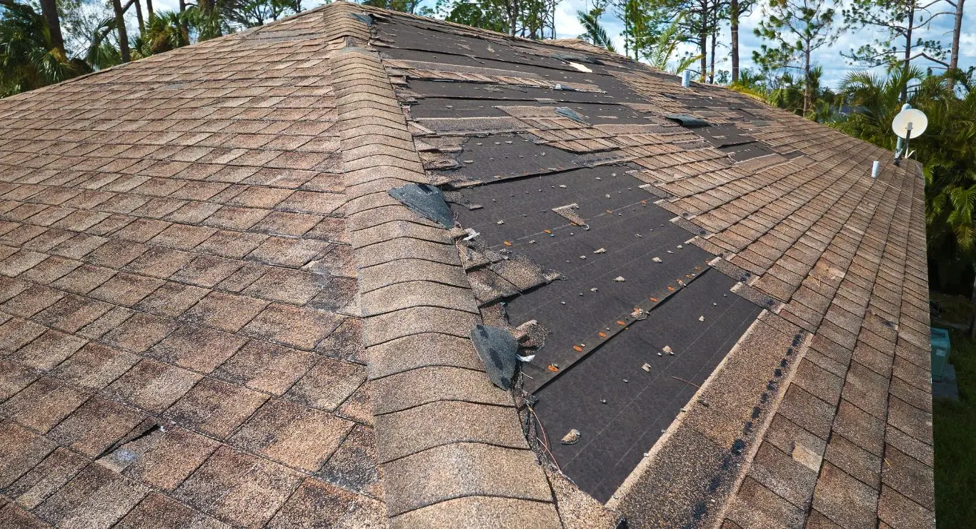 Asphalt shingle roof with a wind-damaged section exposing the underlayment before replacement